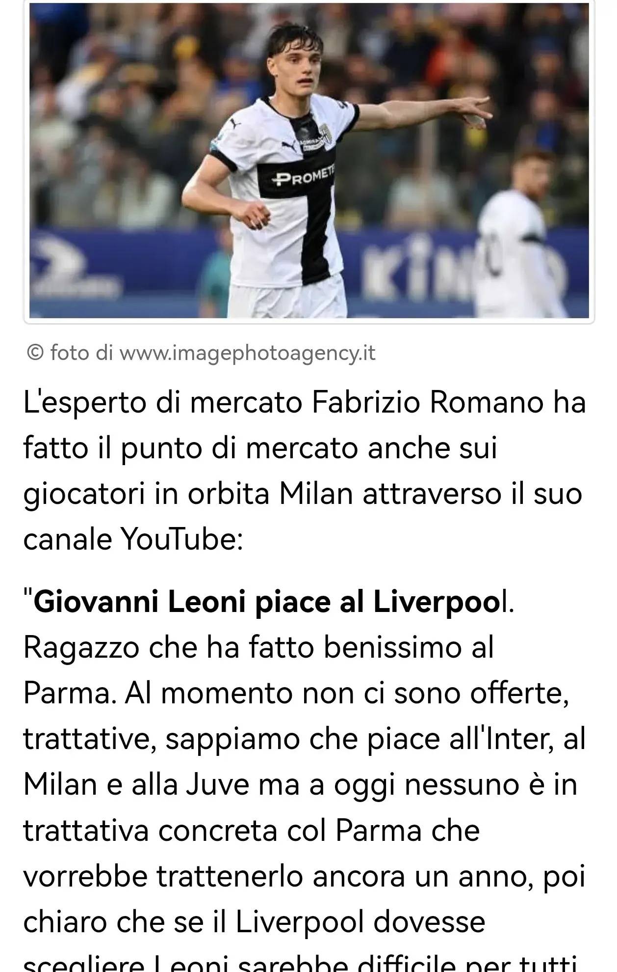 总统选举 总统选举