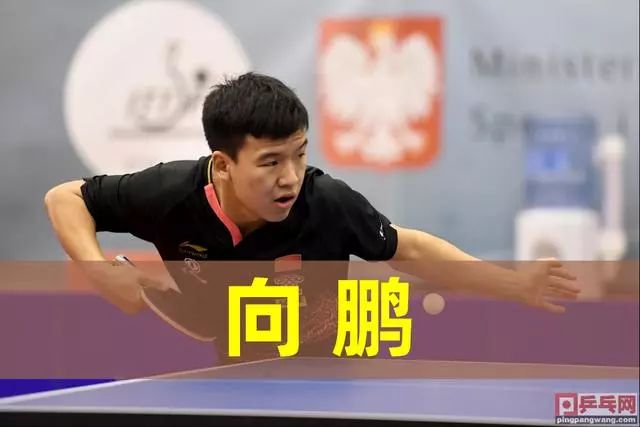 这一策略的 这一策略的